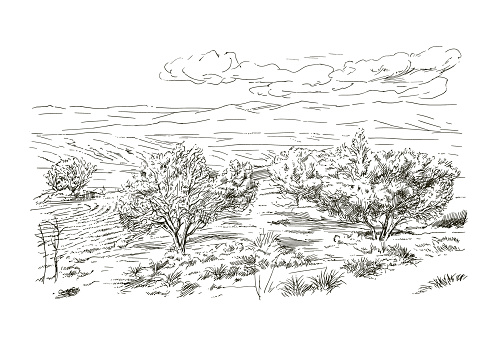 Rural landscape, hand drawn illustration