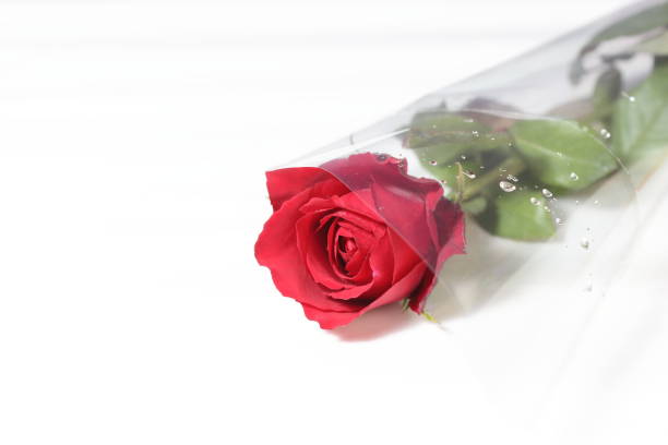 A single red rose placed on a rustic wooden floor.