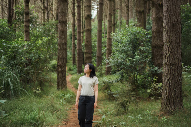 istock Young Asian woman walking on narrow forest path 2022318579