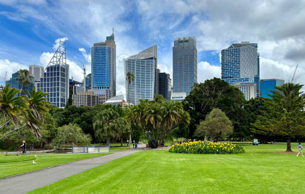 istock Park with skyscrapers in background in Sydney 2022320805