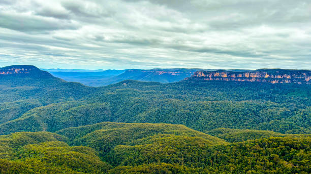 istock Wooded blue mountains in Australia 2022321366