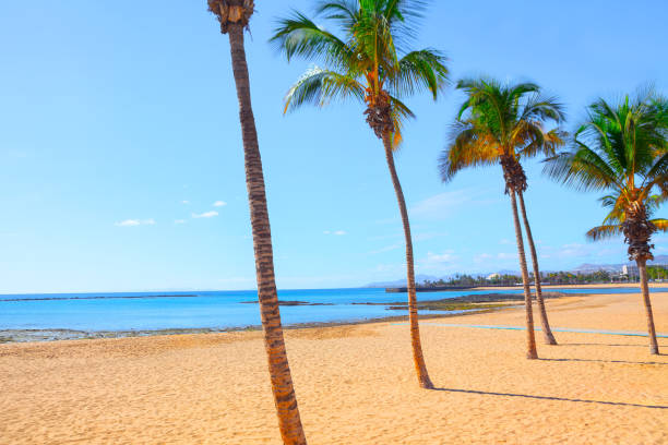 istock Tropical beach with golden sand 2022321880