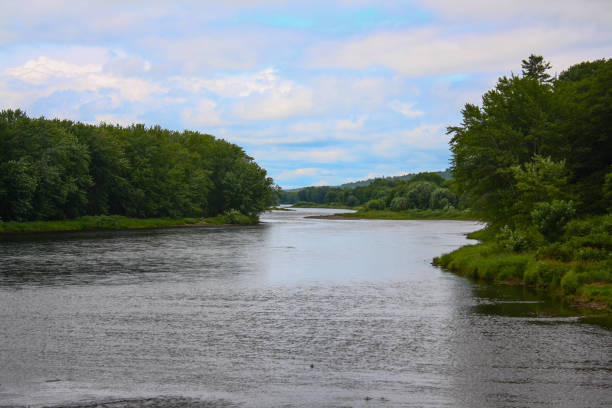 istock River flowing through a forest filled with lush green trees 2022374339