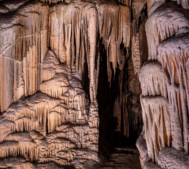The cave Postojna Cave in Slovenia