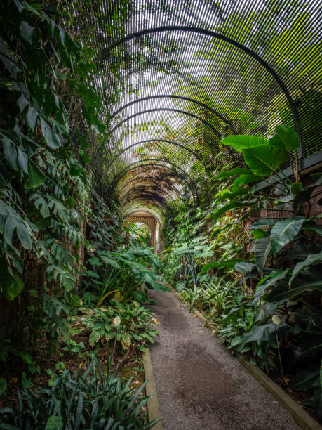 The botanical garden on tenerife