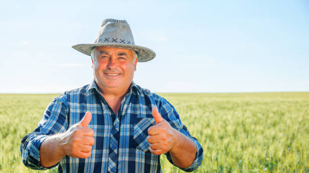 istock Positive elderly male worker looking at camera with thumbs up 2022394526