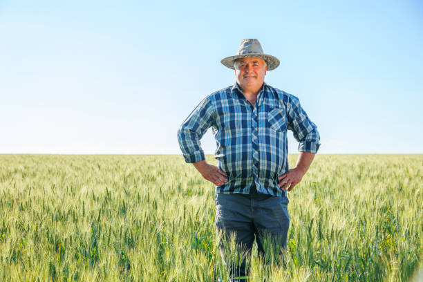 istock Elderly farmer in green field, copy space 2022394546