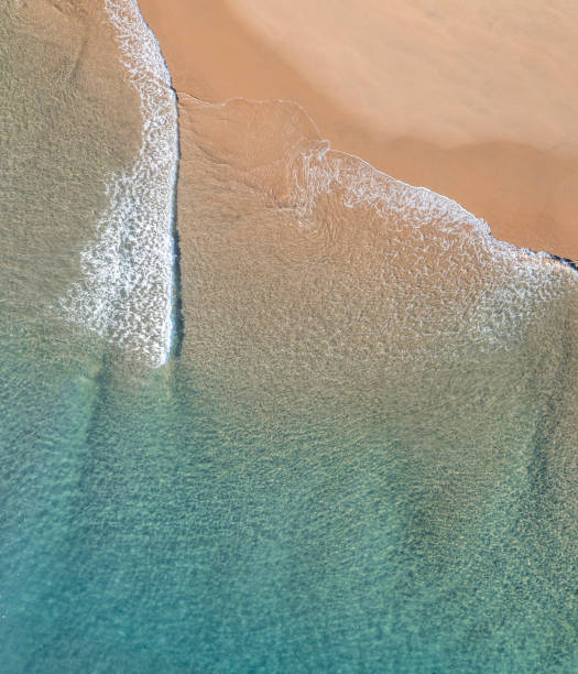Nice holiday destination with beach and gentle waves view from above