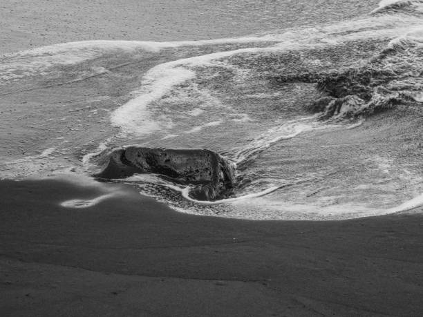 istock beach with black volcanic sand on  Tenerife 2022409474