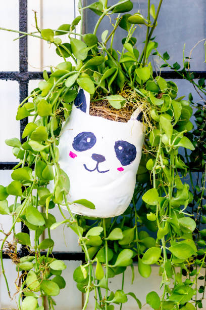 istock plant pots made from reused water bottles 2022415271