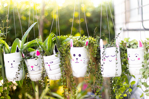 cute plant pots made from reused water bottles