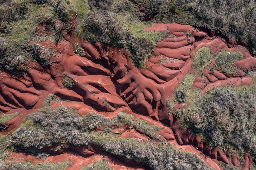Aerial view of a red sandstone canyon with river and trees