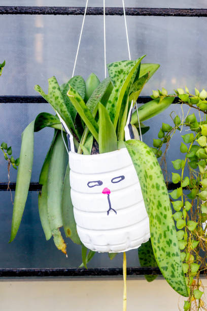 istock plant pots made from reused water bottles 2022419091