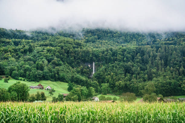 Rural scene of rustic small village by the waterfall mountain and cornfield in countryside at Switzerland