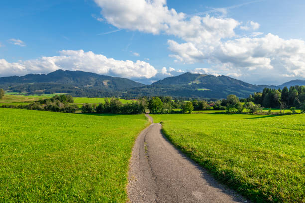 Green landscape in Allgovia, Germany