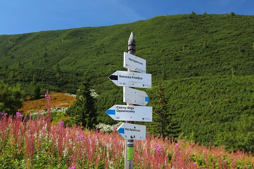 Image of some of the world's famous cities written on wooden signs pointing to the designated directions in the surroundings of the Serra do Corvo Branco at the Serra Catarinense in Urubici, Santa Catarina state - Brazil