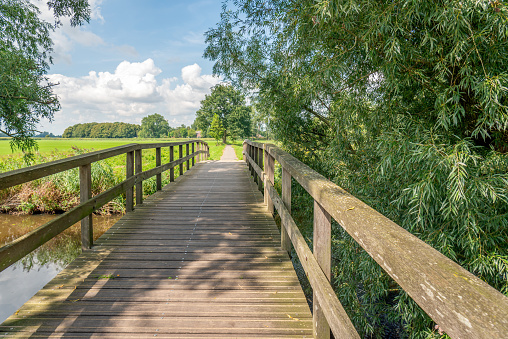 Simple wooden bridge over the water of a wide ditch. Willow trees grow on either side. The photo was taken in the Dutch province of North Brabant on a sunny day in late summer.
