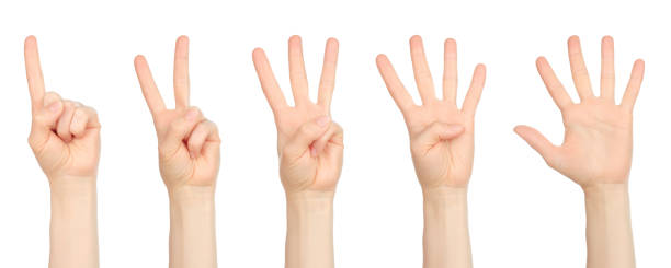 istock Set of Woman hands with different gestures, isolated on white background 2022455117
