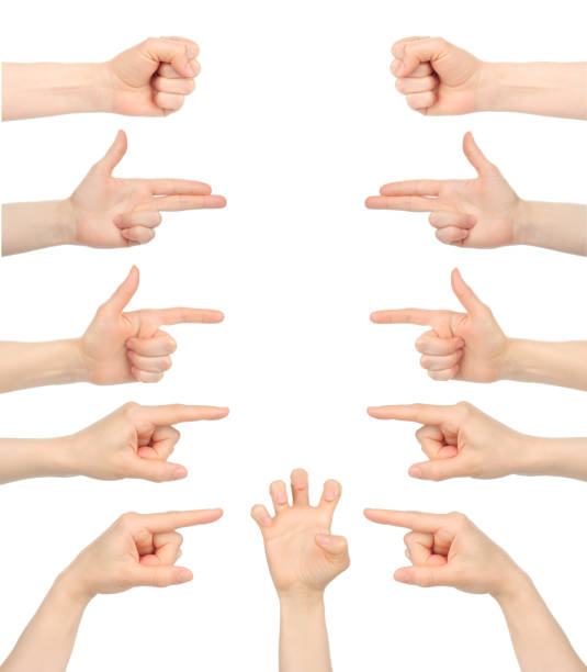 istock Set of Woman hands with different gestures, isolated on white background 2022455129