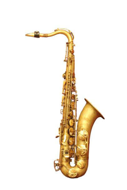 Young boy future musician practicing playing saxophone at home.
