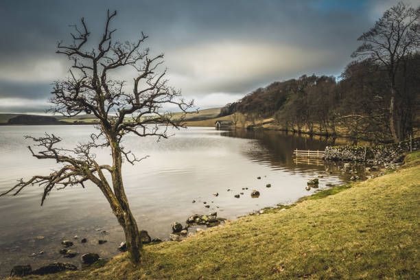 Malham Tarn is a glacial lake near the village of Malham in the Yorkshire Dales, England. The lake is one of only eight upland alkaline lakes in Europe