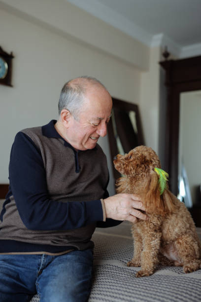 istock Senior Man Sitting On Bed At Home With Pet Toy Poodle 2022557576