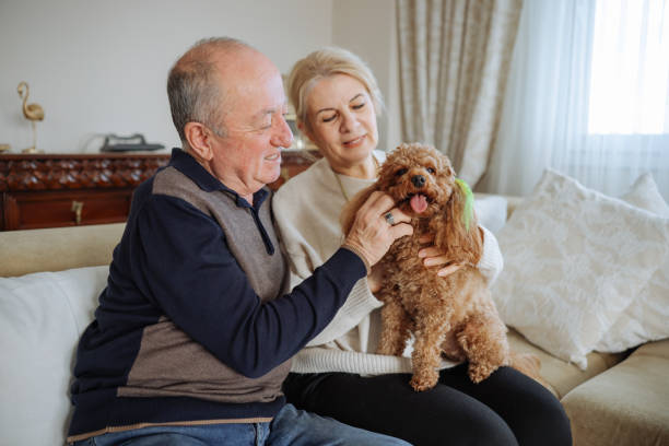 istock Happy senior couple with dog relaxing while sitting on the sofa 2022558106