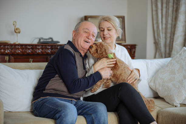 istock Happy senior couple with dog relaxing while sitting on the sofa 2022560273
