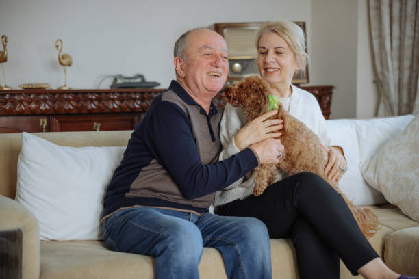 istock Happy senior couple with dog relaxing while sitting on the sofa 2022564024