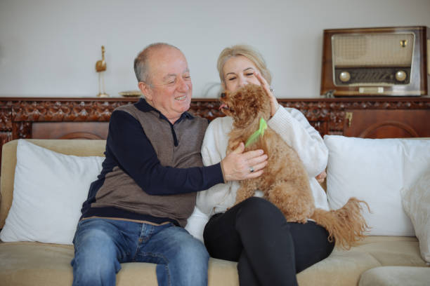 istock Happy senior couple with dog relaxing while sitting on the sofa 2022565109