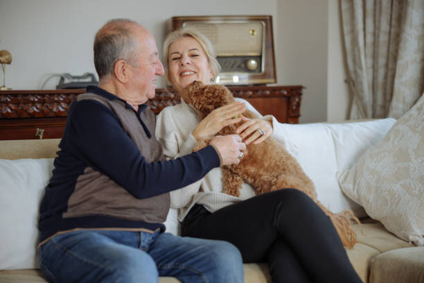 istock Happy senior couple with dog relaxing while sitting on the sofa 2022565826