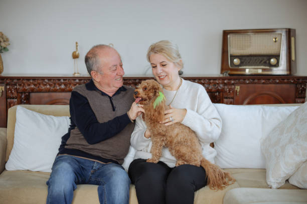 istock Happy senior couple with dog relaxing while sitting on the sofa 2022566221