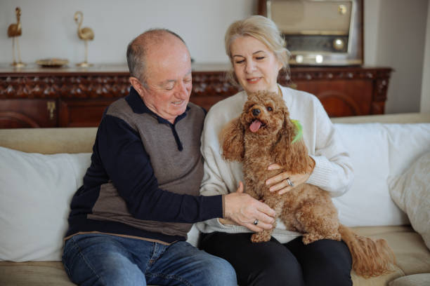 istock Happy senior couple with dog relaxing while sitting on the sofa 2022569029