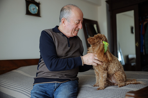 A senior adult having moments of affection with his dog sitting on sofa.