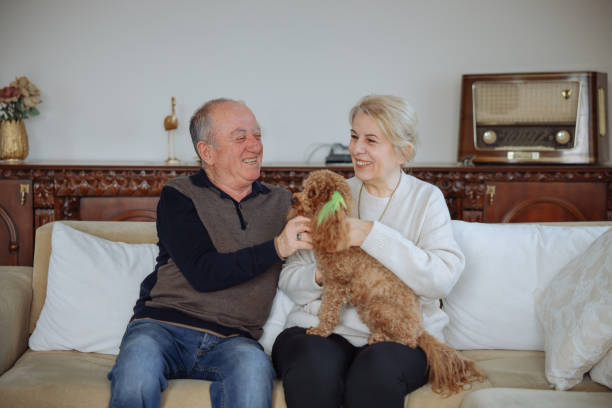 istock Happy senior couple with dog relaxing while sitting on the sofa 2022569603