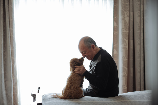 A senior adult having moments of affection with his dog sitting on sofa.