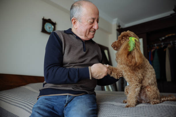 istock Senior Man Sitting On Bed At Home With Pet Toy Poodle 2022571270