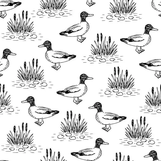 Vector illustration of Simple black and white vector seamless pattern. Ducks, reed bushes. Waterfowl hunting.