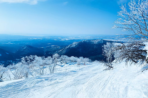 beautiful view of a winter snow-covered forest,mountain in the snow on a sunny day,winter background. Photo wallpaper