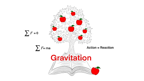 The gravitational force of the earth animation, Gravity, falling apple, Isaac newton idea universal law, fall red apple tree down. Step down stages, timeline. Weight and mass experiment, Inertia