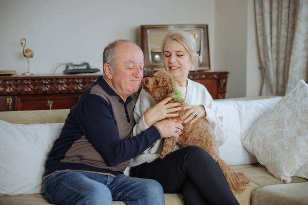 istock Happy senior couple with dog relaxing while sitting on the sofa 2022582064