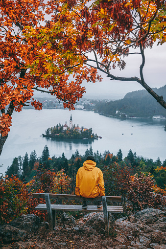 Back view of a  young traveler and adventurer dressed in a bright yellow raincoat looking at the view of the famous alpine Bled Lago (Blejsko jezero) in Slovenia, on a foggy and rainy autumn day and finds serenity while sitting on a park bench under a tree with autumn color leaves. From the vantage point of Mala Osojnica, the traveler gazes out at the mystical landscape, where the island with its picturesque church, the iconic Bled Castle, and the majestic Julian Alps are veiled in the ethereal embrace of fog and rain.