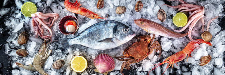 Seafood panorama. Fresh fish and sea food on ice, overhead flat lay view on a black background, panoramic banner