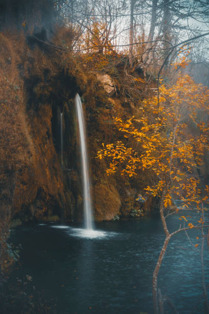 Free Stock Photo of Waterfall and Autumn Leaves | Download Free Images ...