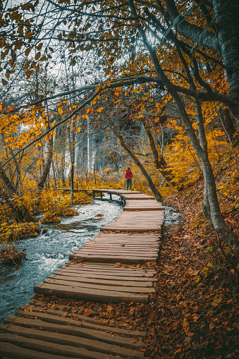 Rear view of a young traveler woman with a red rain coat enjoys the beauty of nature adorned in autumn colors, strolling along a wooden forest path under the river. Spectacular autumn view with wooden trekking path, autumn colors trees, lakes, and waterfall landscape in Plitvice Lakes National Park in Croatia