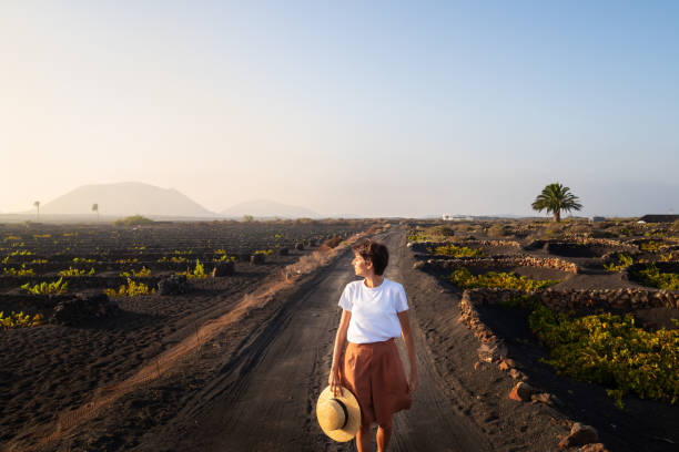 istock Volcanic vineyards in La Geria, Lanzarote 2022649131
