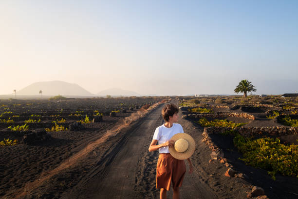 Volcanic vineyards in La Geria, Lanzarote