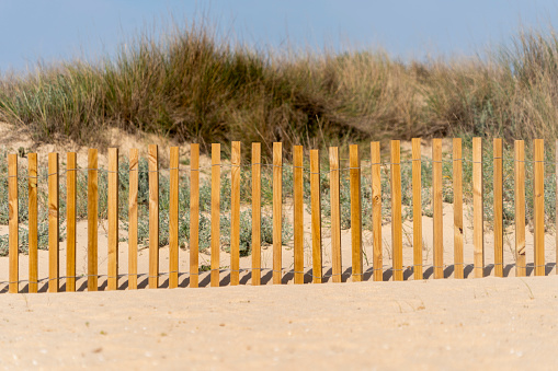 Beach fencing, dune construction and strengthening