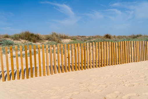 Beach sand fencing with wood and sea grass