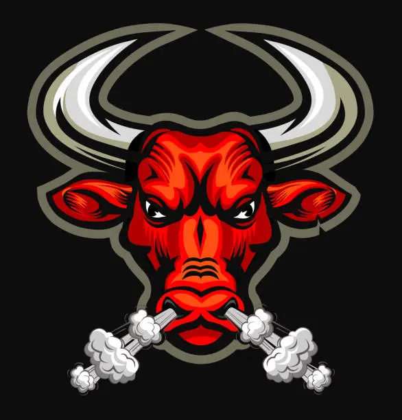 Vector illustration of raging bull. illustration of angry red bull face